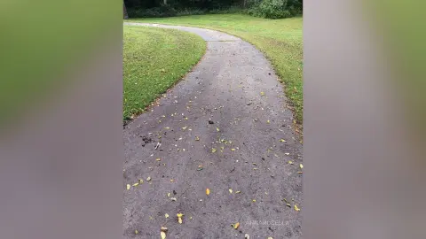 A winding concrete walking path through a lush green park with fallen autumn leaves on the ground.