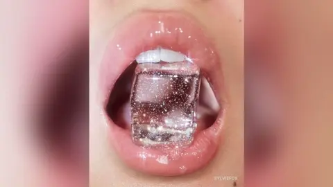 SylvieFox — Images