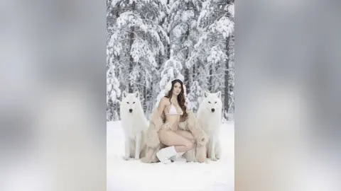 Beautiful woman in a white bikini and fur coat sitting between two white wolves in a snowy winter forest.