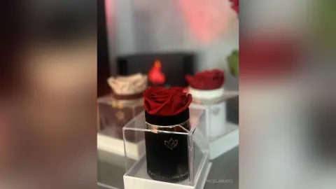 NicoleRocci — 🌹
