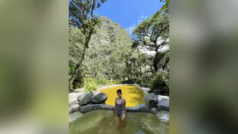 SophiaRebel — 🌳🦌