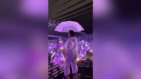 SaraKing — Japanese Daydream