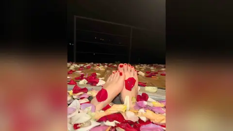 ValeriaVogel — 🥀 🍷 💦 