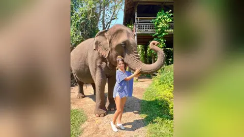 Young woman in a blue striped shirt smiling next to a large elephant in a lush tropical jungle setting.