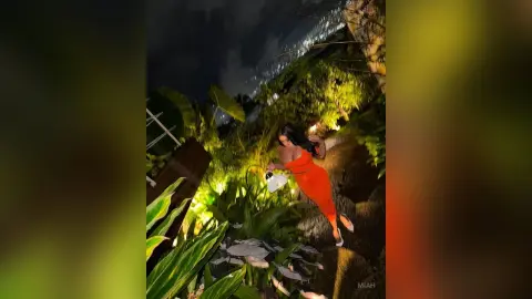 Elegant woman in a vibrant orange dress standing in a lush, moonlit tropical garden at night.