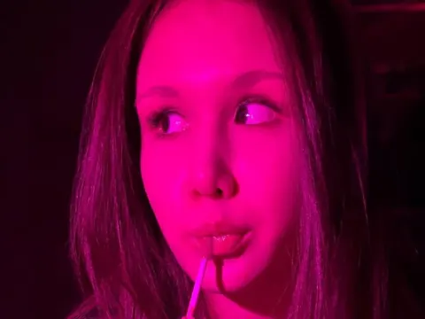 WilletteLabrie cam model