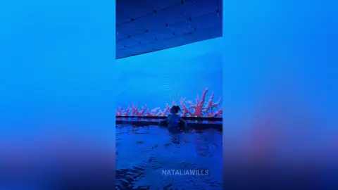 NataliaWills — ASimpleDay 🌞🍹🏝