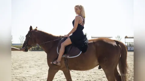 Katelyn — Equitation