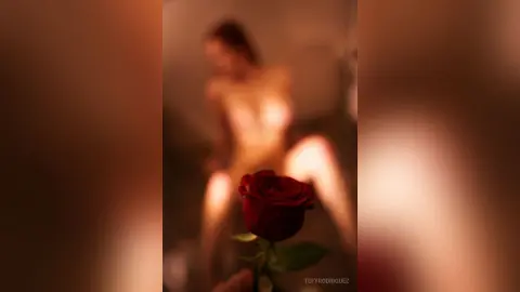 TefyRodriguez — gallery