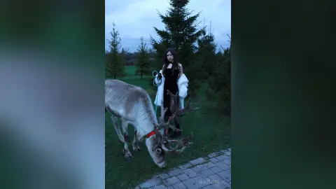 AliceLiddelle — ❄
