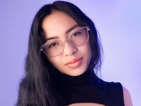 VanneSoft cam model