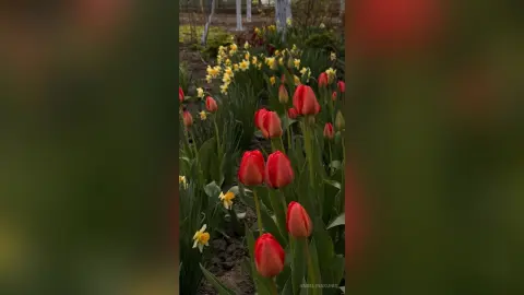AngelinaKunis — 🌞