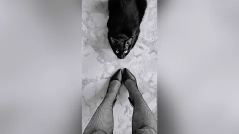 AmeliePiercen — Cats and heels 👠🐈