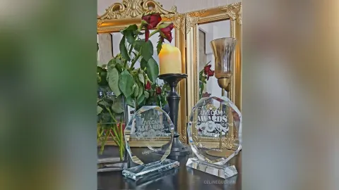 CelineGuerrin — clip artist of the  year