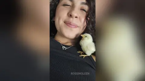 RossiNoleen smiles while a small yellow chick rests on her chest, wearing a black tank top.