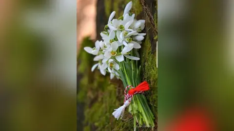 EmmaRobertson — Welcome spring 