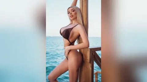 Blonde woman in a brown bikini posing on a wooden pier overlooking the blue ocean under bright sunlight.