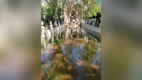 SaraTray — Paris ❤️