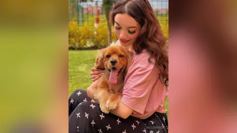 WillowDior — 🐶💛