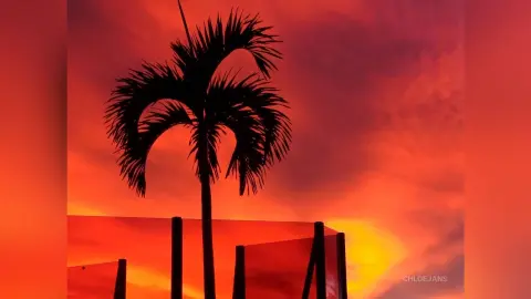 Silhouette of a tall palm tree against a vibrant orange and red tropical sunset sky.