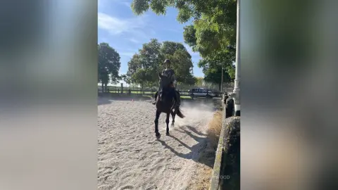 Female equestrian in riding gear riding a dark horse in a sunny outdoor sand arena.
