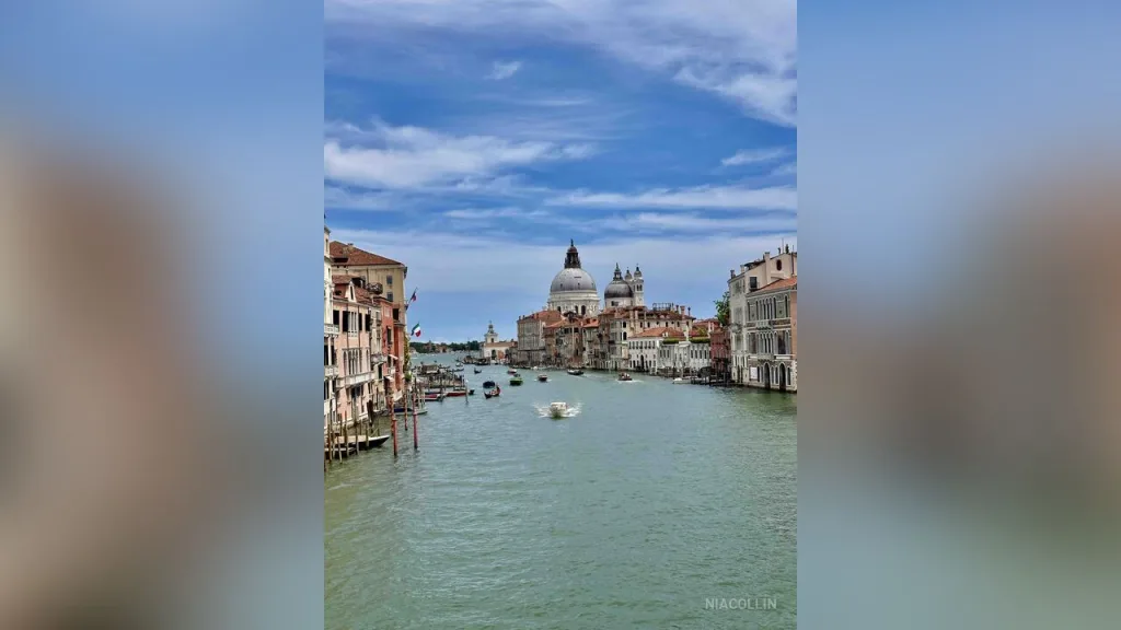 NiaCollin — live cam