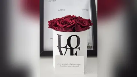 SonyaGils — MyDot💜