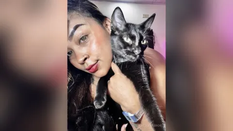 CattleyaBron — 🥰🐈🐈🐈