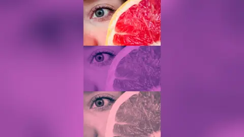 NellSton — Grapefruit 