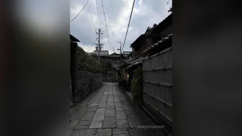HarleyQuense — Japanese adventures 🇯🇵🍥