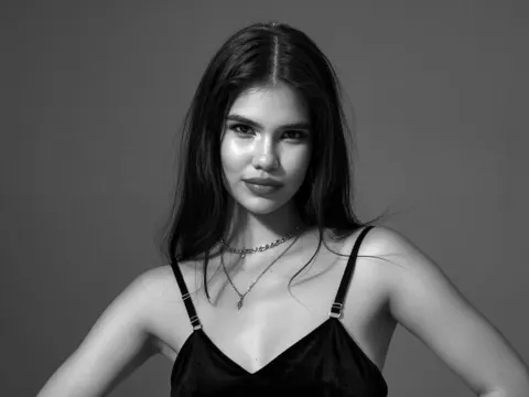 CelesteStyle cam model
