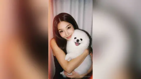 Smiling young woman in a black top hugging a fluffy white Pomeranian dog in a cozy indoor setting.