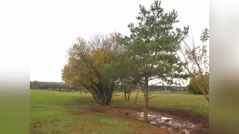 AmandaRiver — cozy  autumn 