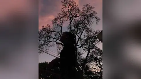 MissyJohansson stands silhouetted against a pink sunset sky, looking up toward the branches of a large tree.