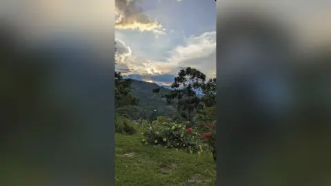 Scenic view of rolling green hills and lush trees under a dramatic cloudy sunset sky.
