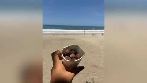 A hand holding a small paper cup of snacks on a sunny, peaceful beach with ocean waves in the background.