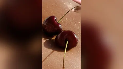 MarisaGrace poses with two dark red cherries resting on her wet, glistening skin.
