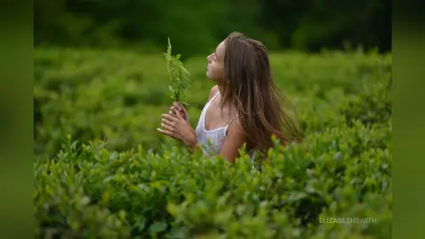 Young woman in a white tank top smelling green leaves in a lush, serene tea plantation field.