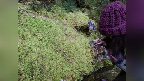 Woman in a purple knit beanie touching green moss on a forest rock in a peaceful woodland setting.