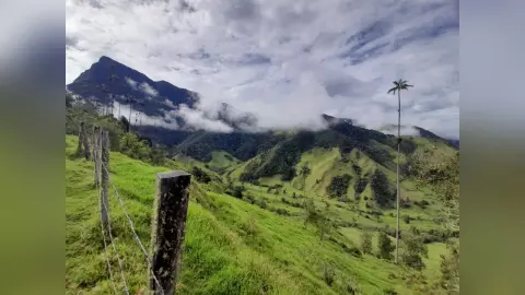 AnneGale — trip SALENTO COCORA