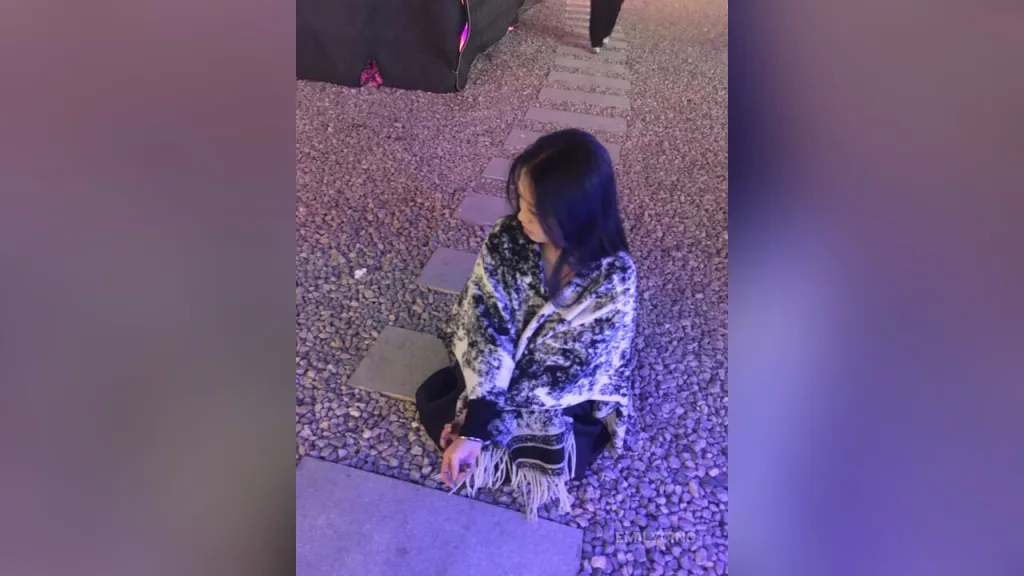 EmilyQing