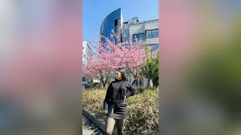 SaraKing — Japanese Daydream