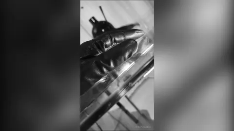 SerafinaDian — The Kink (fetish non-explicit)