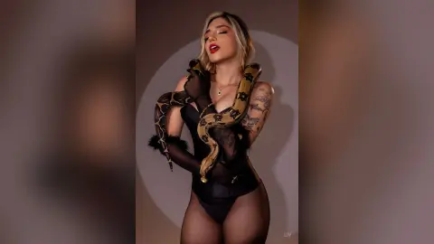 Glamorous woman in a black sheer bodysuit draped in a large snake against a minimalist studio background.