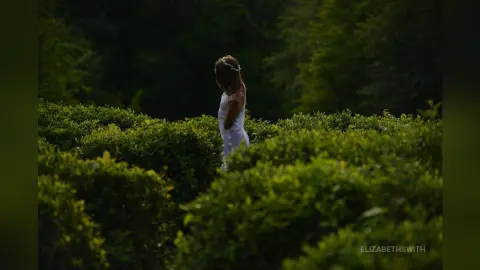Dreamy portrait of a woman in a white dress walking through a lush green field at sunset.