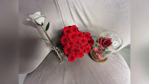 KimRoberth poses with a white rose, a heart-shaped box of red roses, and a glass dome containing a red rose on a grey couch.