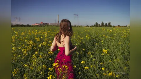 EvaDevon — Like a Poppy
