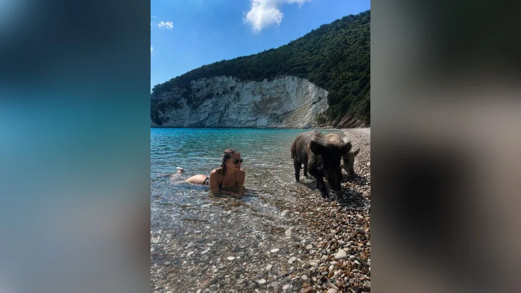 EveTyson — #Greece2026