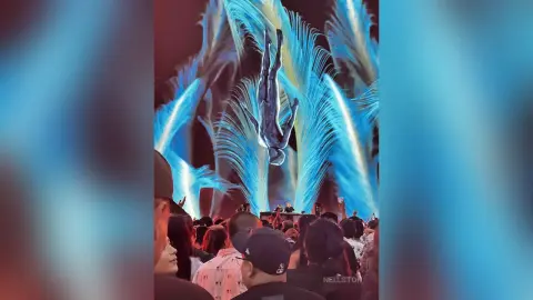 NellSton — Medellín afterlife 2 days 