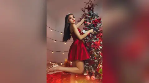 AmyBeck — Christmas
